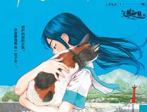 全球高武